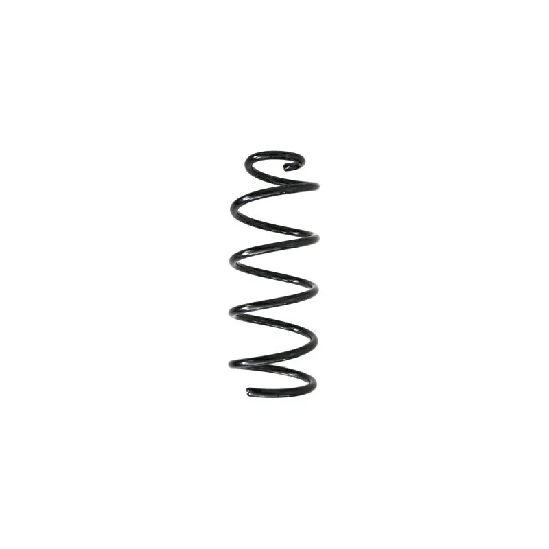 Ressort de suspension SPIDAN 55249