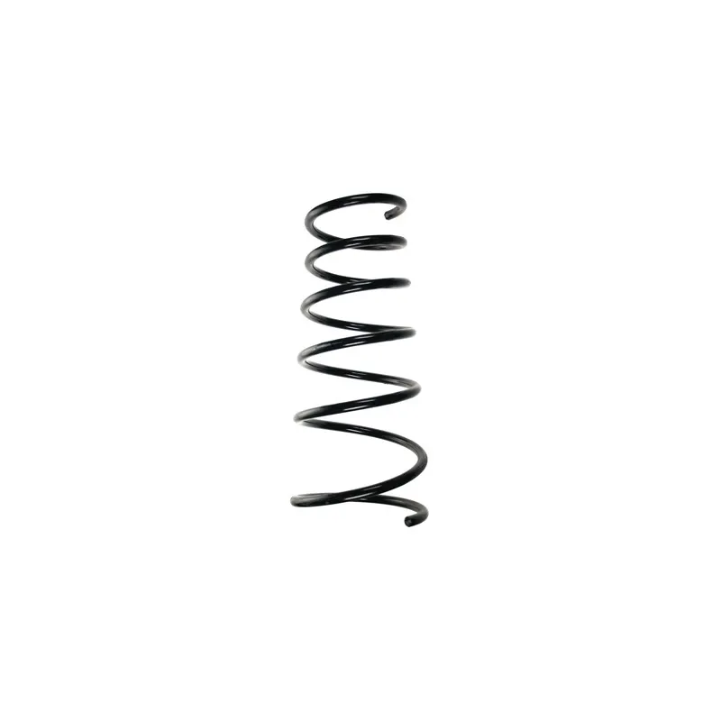 Ressort de suspension SPIDAN 55253