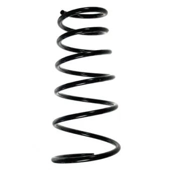 Ressort de suspension SPIDAN 55254
