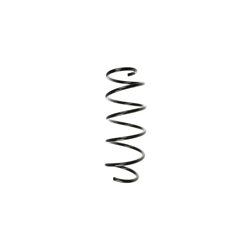 Ressort de suspension SPIDAN 55255