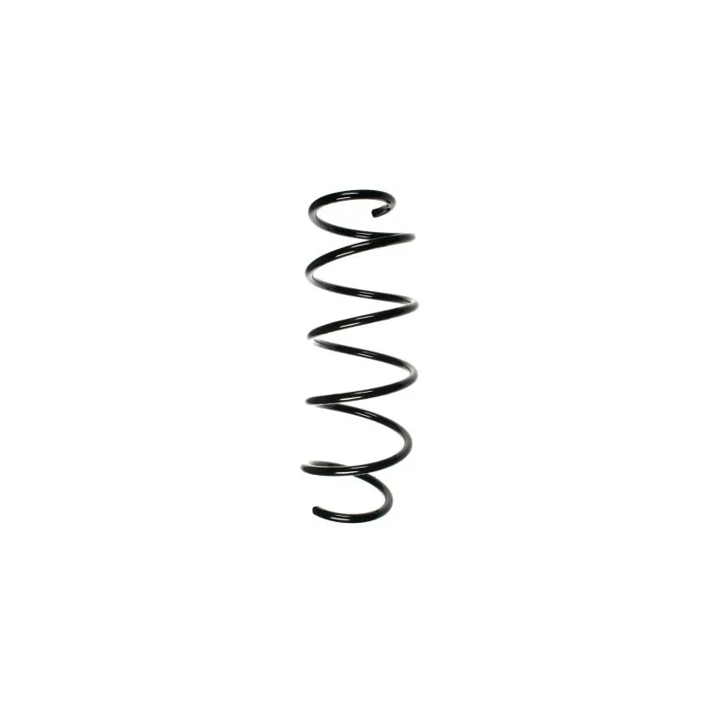 Ressort de suspension SPIDAN 55256