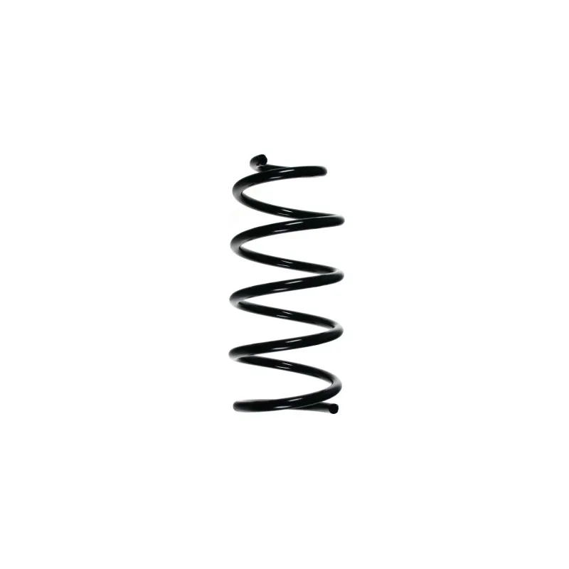 Ressort de suspension SPIDAN 55257
