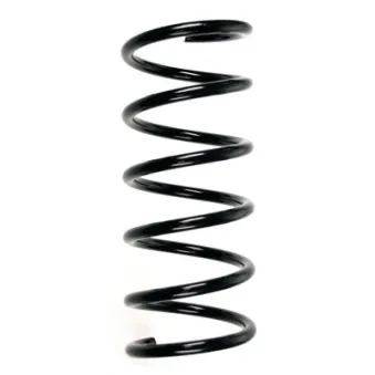 Ressort de suspension SPIDAN 55258