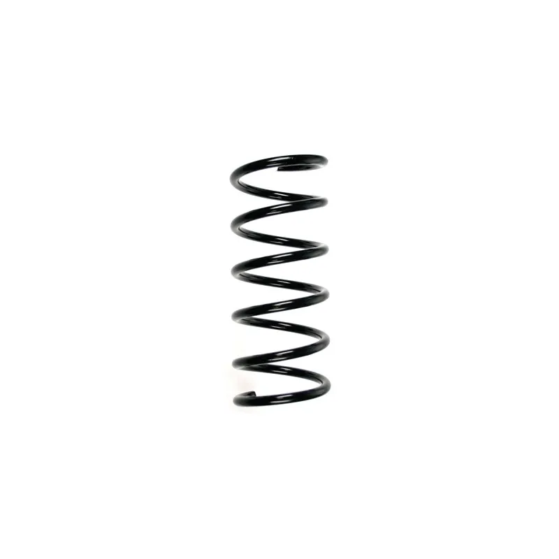 Ressort de suspension SPIDAN 55258