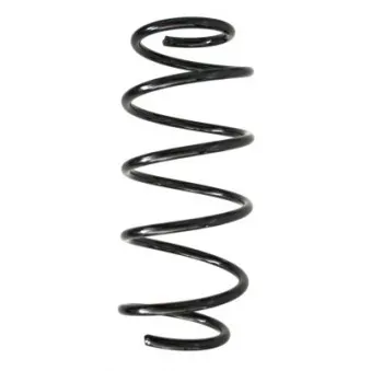 Ressort de suspension SPIDAN 55259