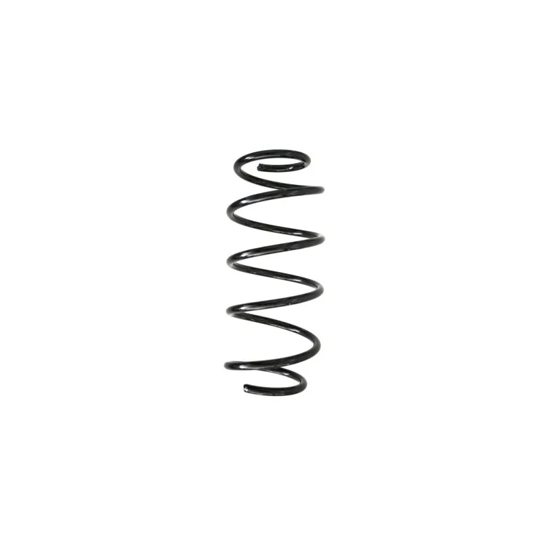 Ressort de suspension SPIDAN 55259