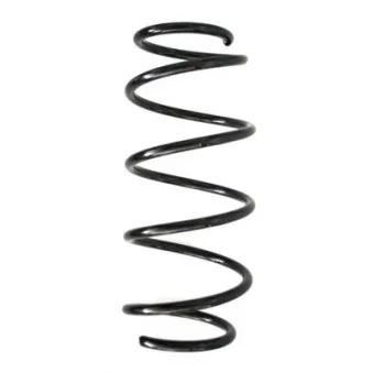 Ressort de suspension SPIDAN 55260