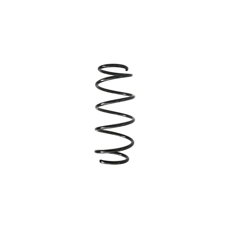 Ressort de suspension SPIDAN 55260