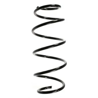 Ressort de suspension SPIDAN 55261