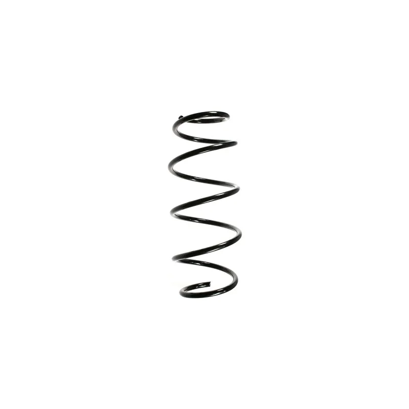 Ressort de suspension SPIDAN 55261