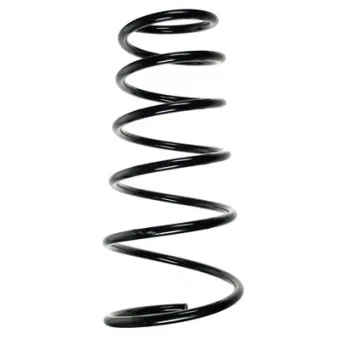 Ressort de suspension SPIDAN 55264