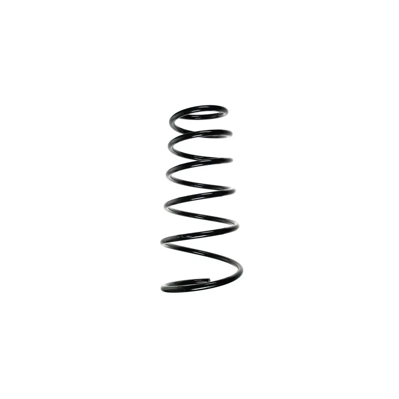 Ressort de suspension SPIDAN 55264