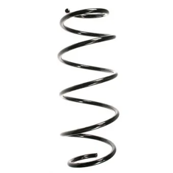 Ressort de suspension SPIDAN 55273