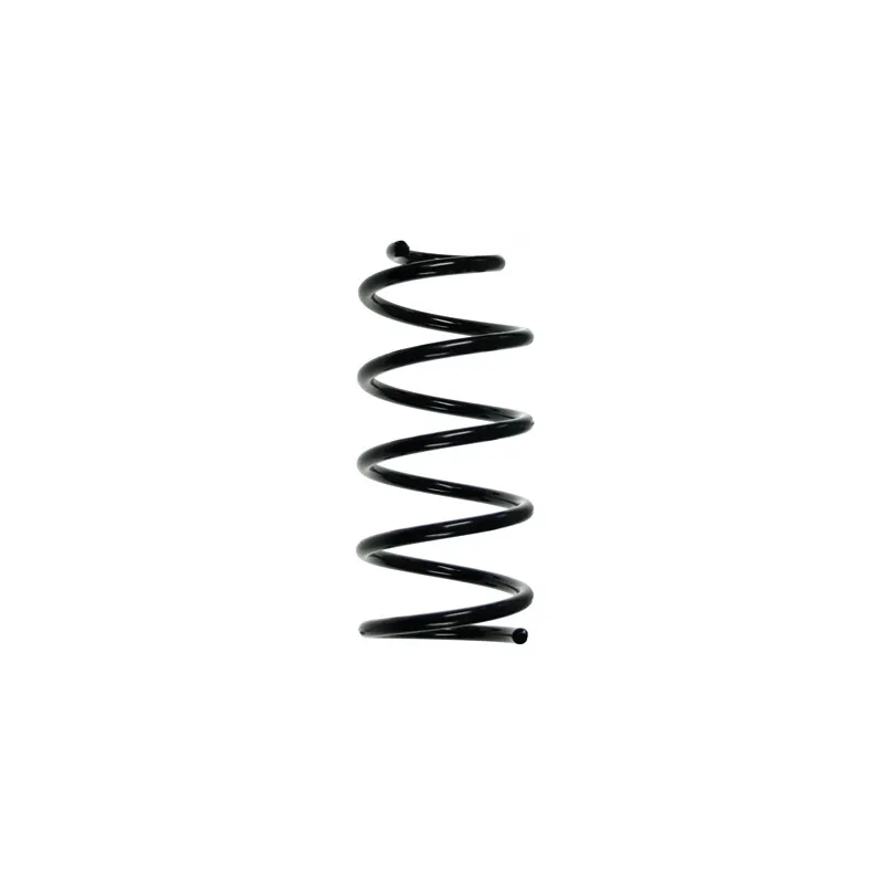 Ressort de suspension SPIDAN 55274