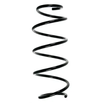 Ressort de suspension SPIDAN 55277