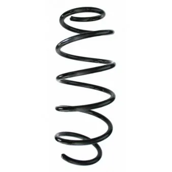 Ressort de suspension SPIDAN 55287