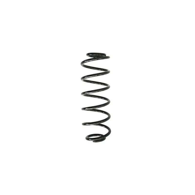 Ressort de suspension SPIDAN 55289