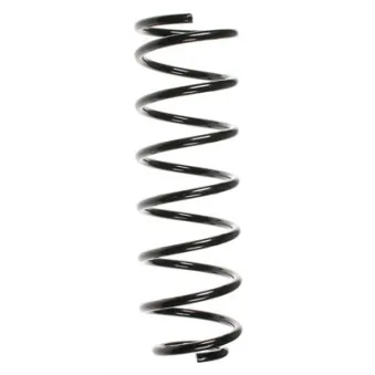 Ressort de suspension SPIDAN 55293