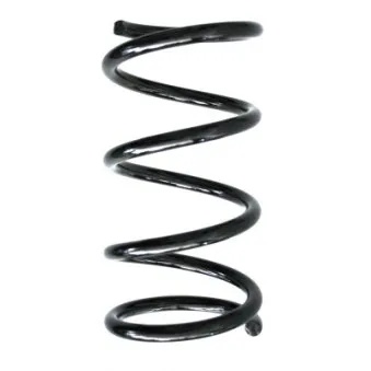 Ressort de suspension SPIDAN 55294