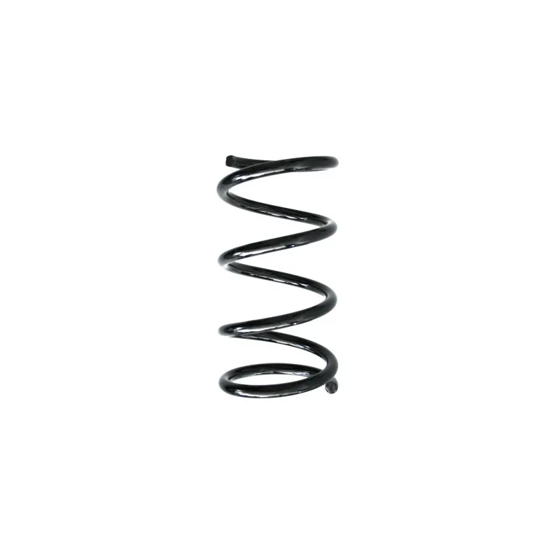 Ressort de suspension SPIDAN 55294