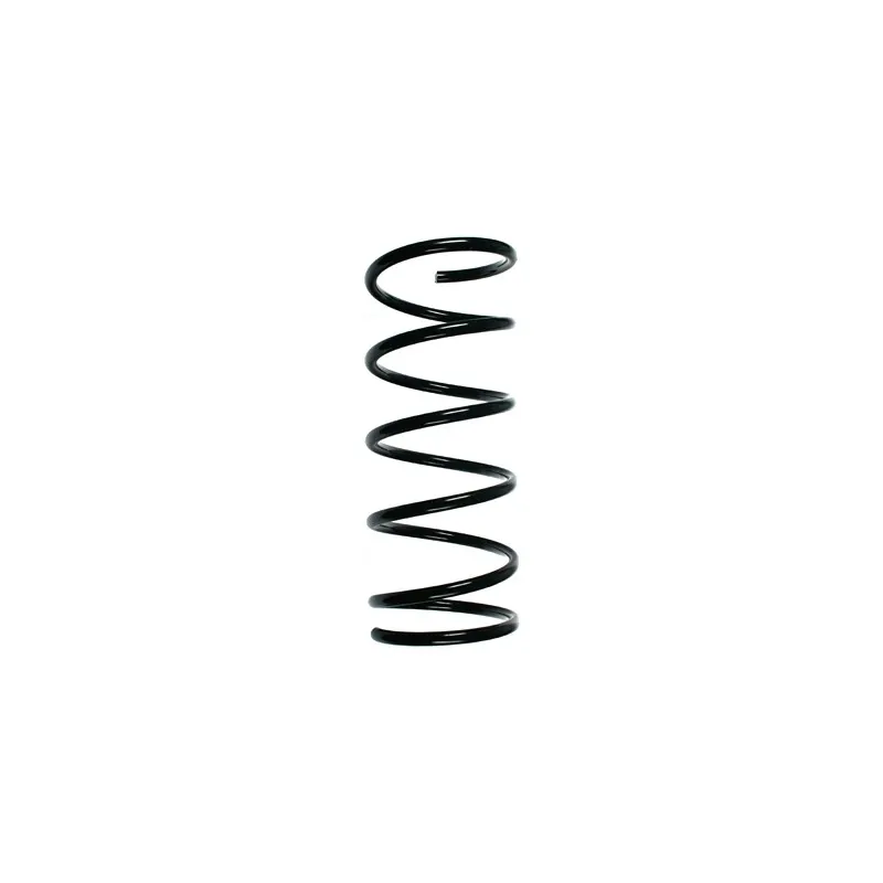 Ressort de suspension SPIDAN 55296