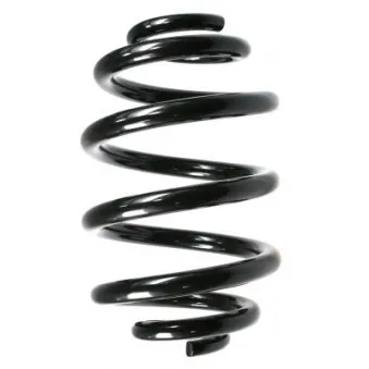 Ressort de suspension SPIDAN 55305