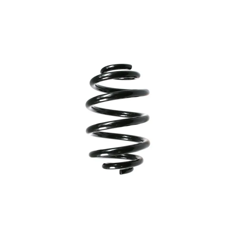 Ressort de suspension SPIDAN 55305