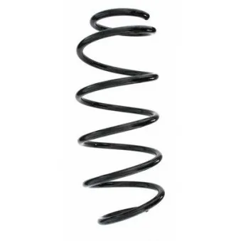 Ressort de suspension SPIDAN 55309