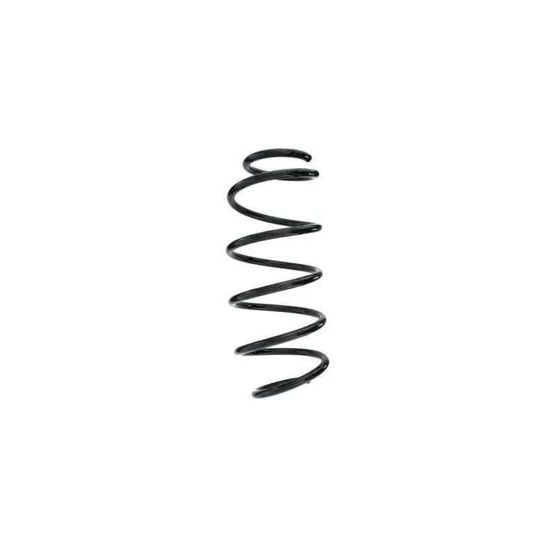 Ressort de suspension SPIDAN 55309