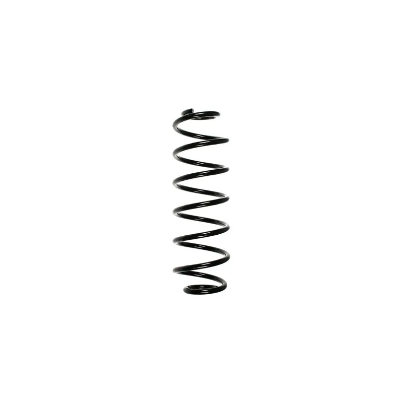 Ressort de suspension SPIDAN 55310