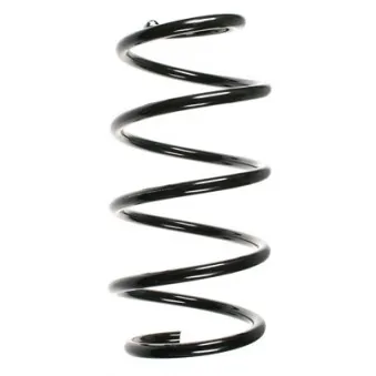 Ressort de suspension SPIDAN 55313