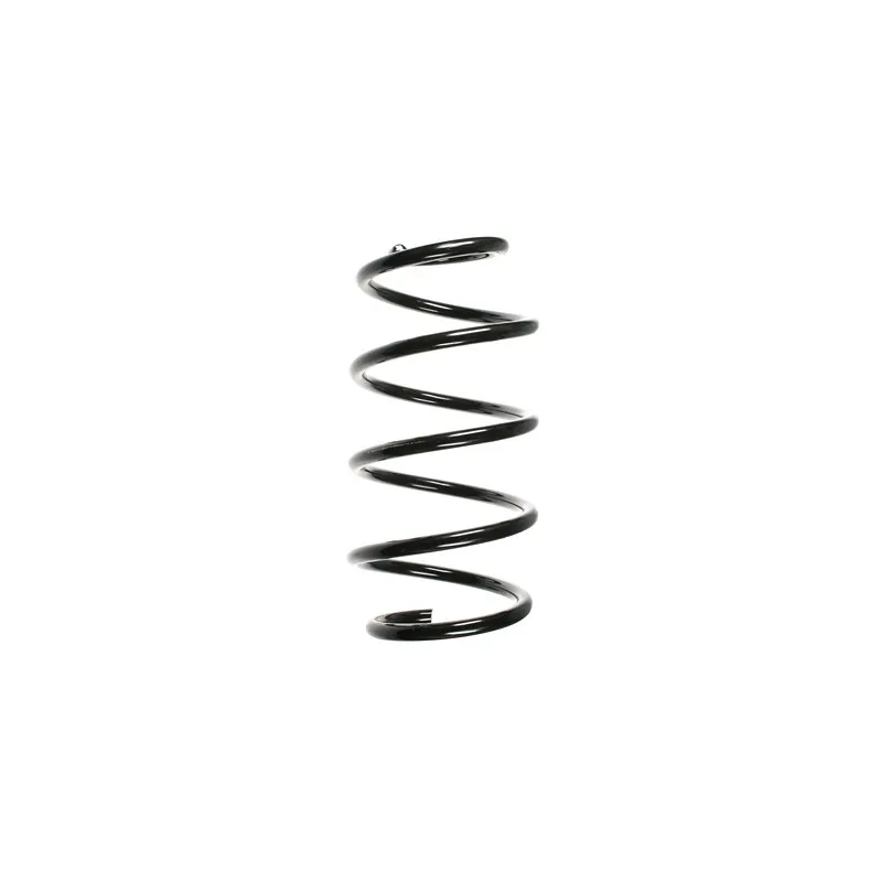Ressort de suspension SPIDAN 55313