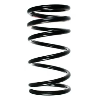 Ressort de suspension SPIDAN 55322