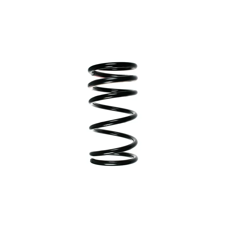 Ressort de suspension SPIDAN 55322
