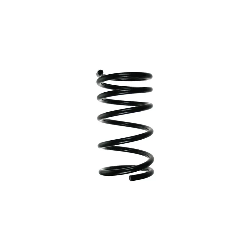 Ressort de suspension SPIDAN 55323