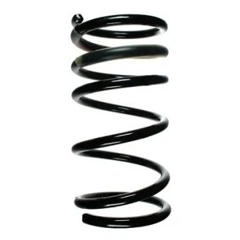 Ressort de suspension SPIDAN 55324