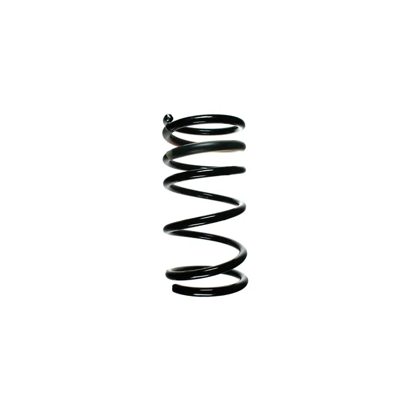 Ressort de suspension SPIDAN 55324