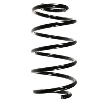 Ressort de suspension SPIDAN 55325