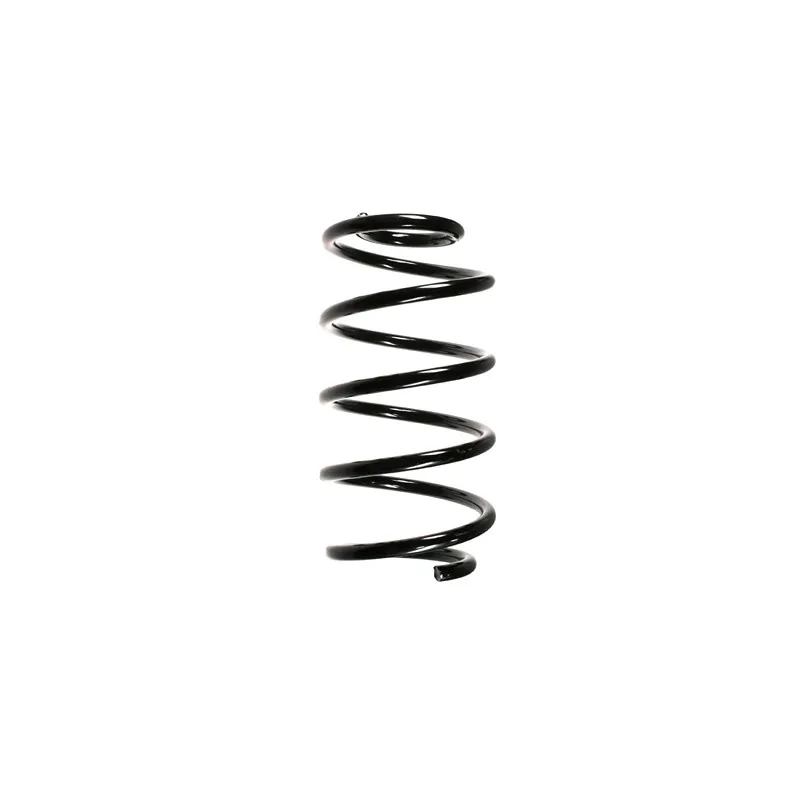 Ressort de suspension SPIDAN 55325