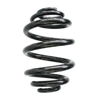 Ressort de suspension SPIDAN 55327