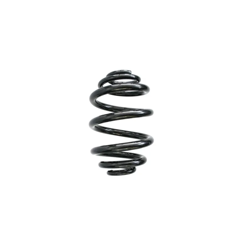 Ressort de suspension SPIDAN 55327
