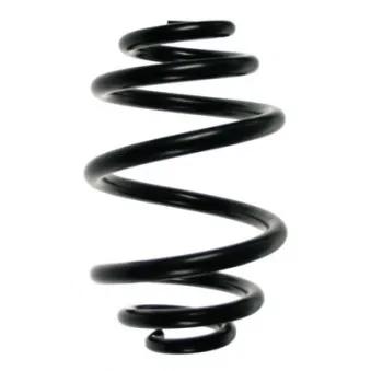 Ressort de suspension SPIDAN 55328