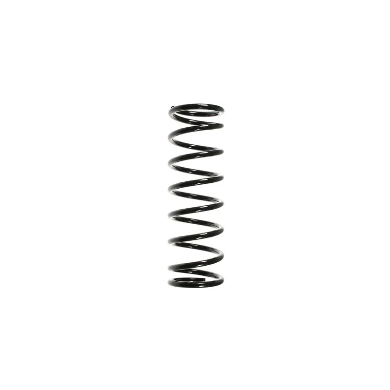 Ressort de suspension SPIDAN 55329