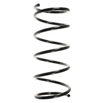 Ressort de suspension SPIDAN 55330