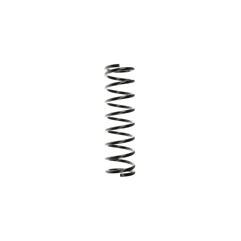 Ressort de suspension SPIDAN 55331