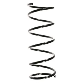 Ressort de suspension SPIDAN 55333