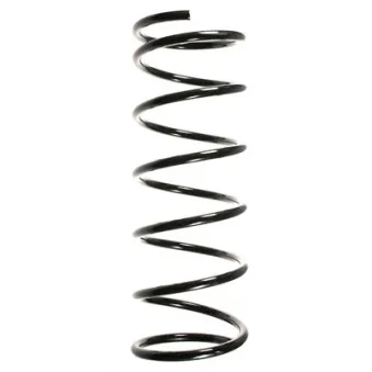 Ressort de suspension SPIDAN 55334