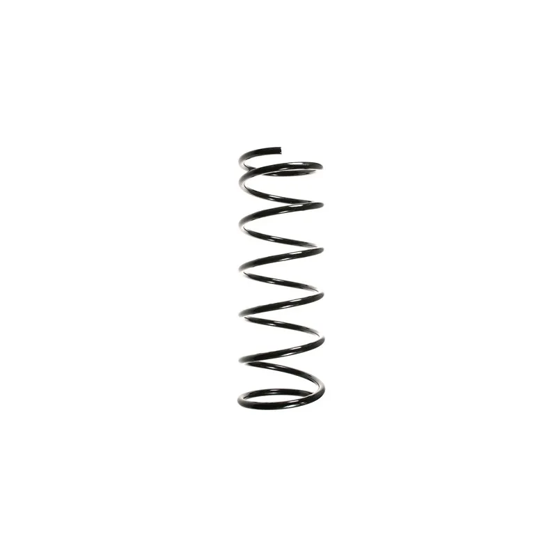 Ressort de suspension SPIDAN 55334