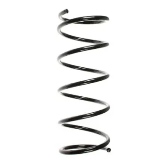Ressort de suspension SPIDAN 55335