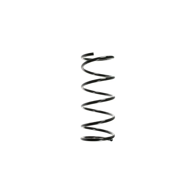 Ressort de suspension SPIDAN 55336